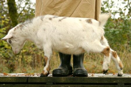 Hello From Oregon Image